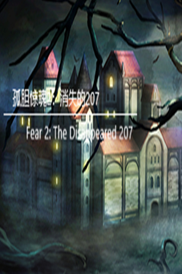 孤胆惊魂2：消失的207（Fear 2: The Disappeared 207）
