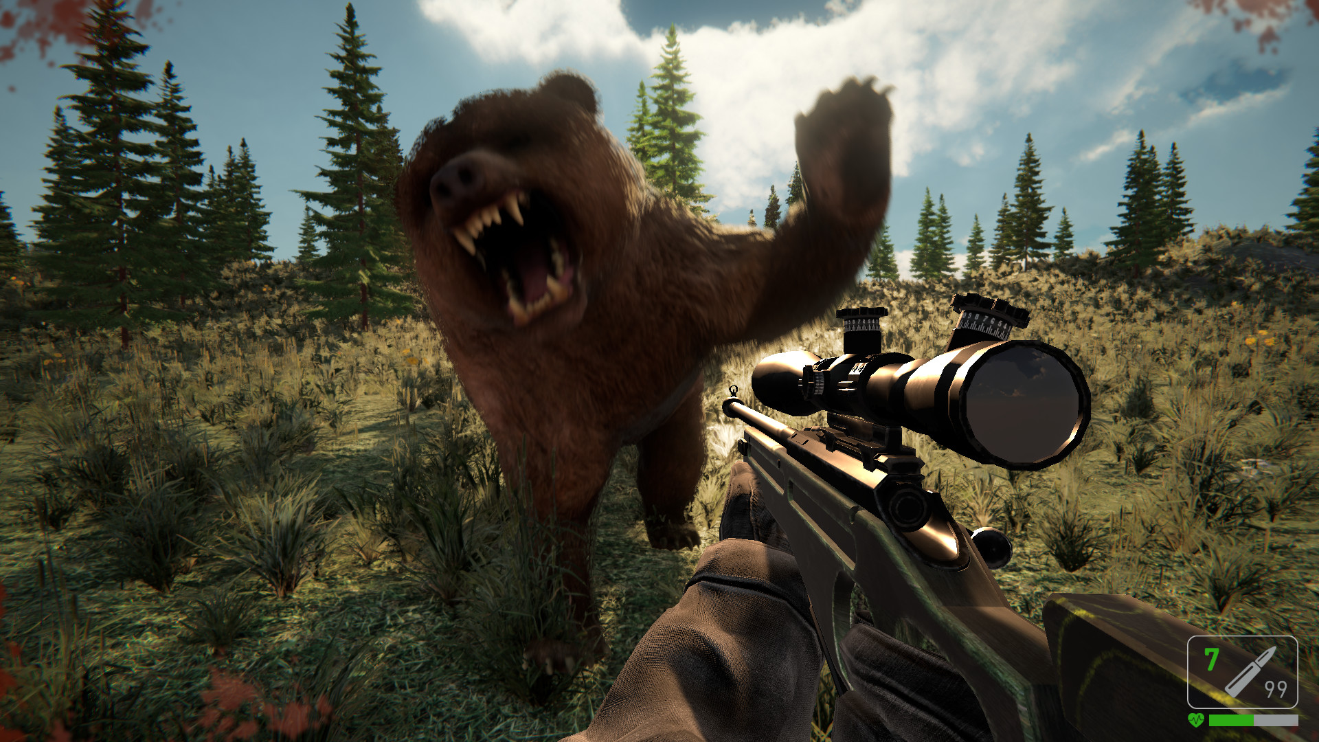 bear shooting games