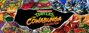 Teenage Mutant Ninja Turtles: The Cowabunga Collection