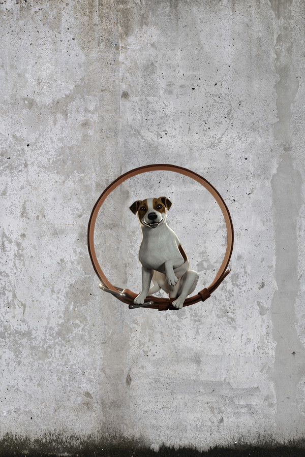 Animal Shelter: Prologue