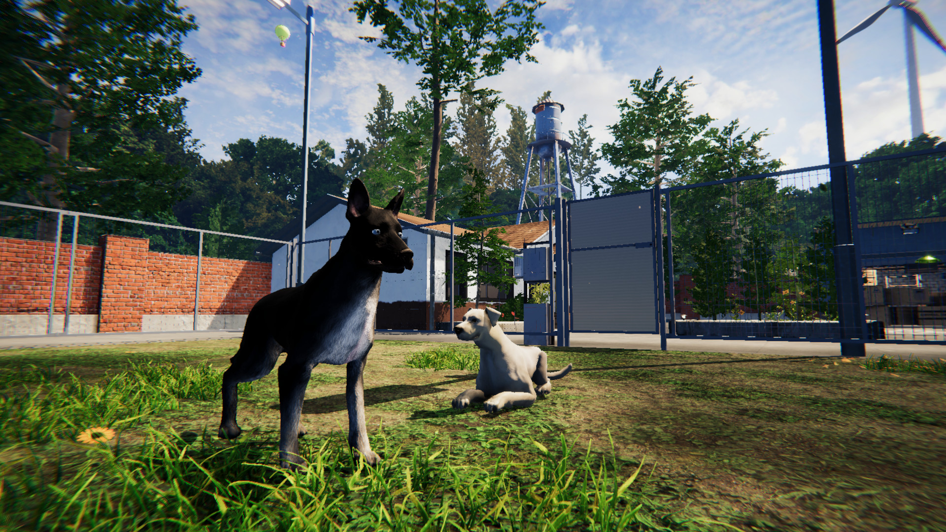 Animal Shelter: Prologue on Steam Animal Shelter: Prologue on Steam