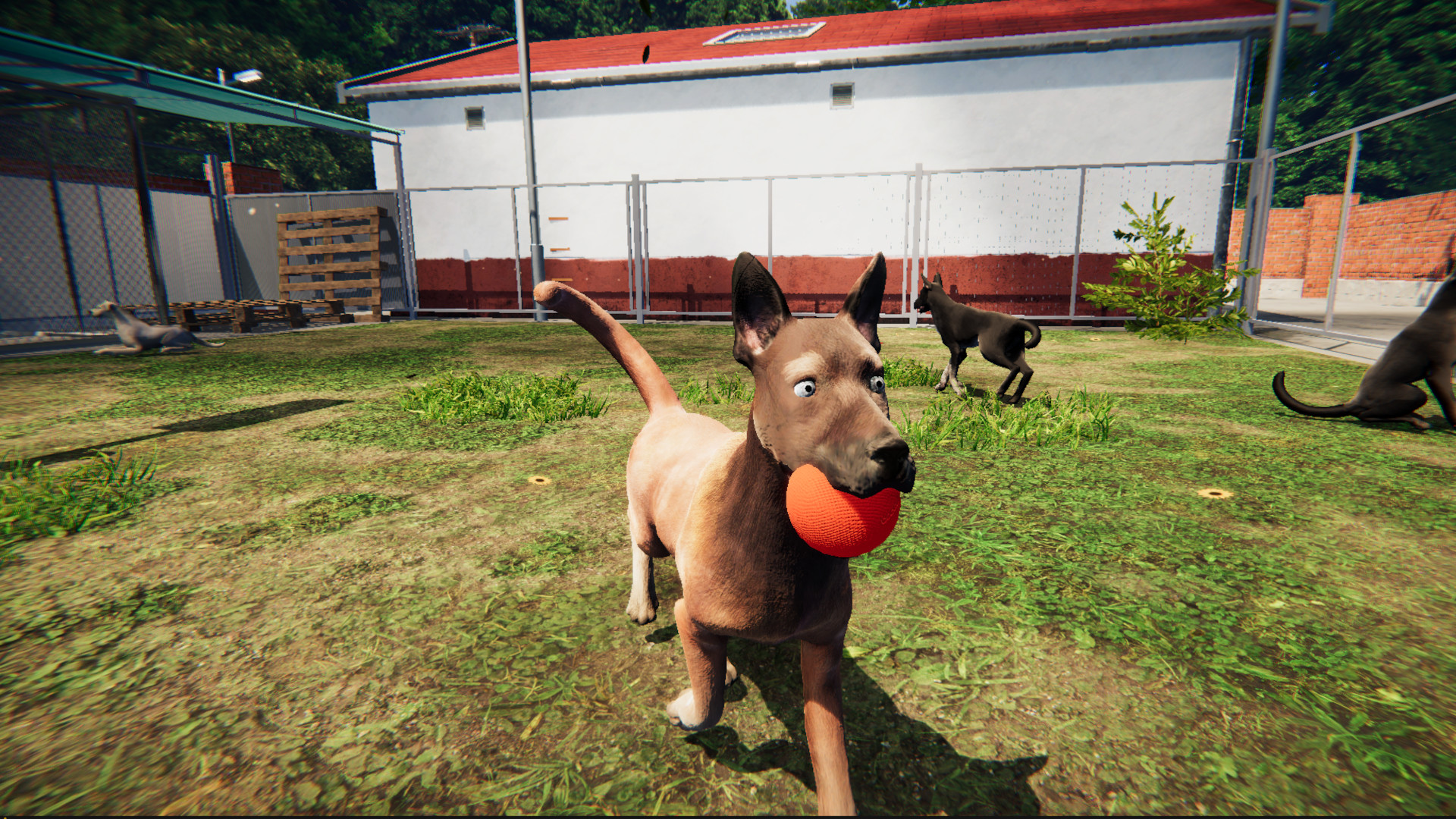 Animal Shelter: Prologue on Steam