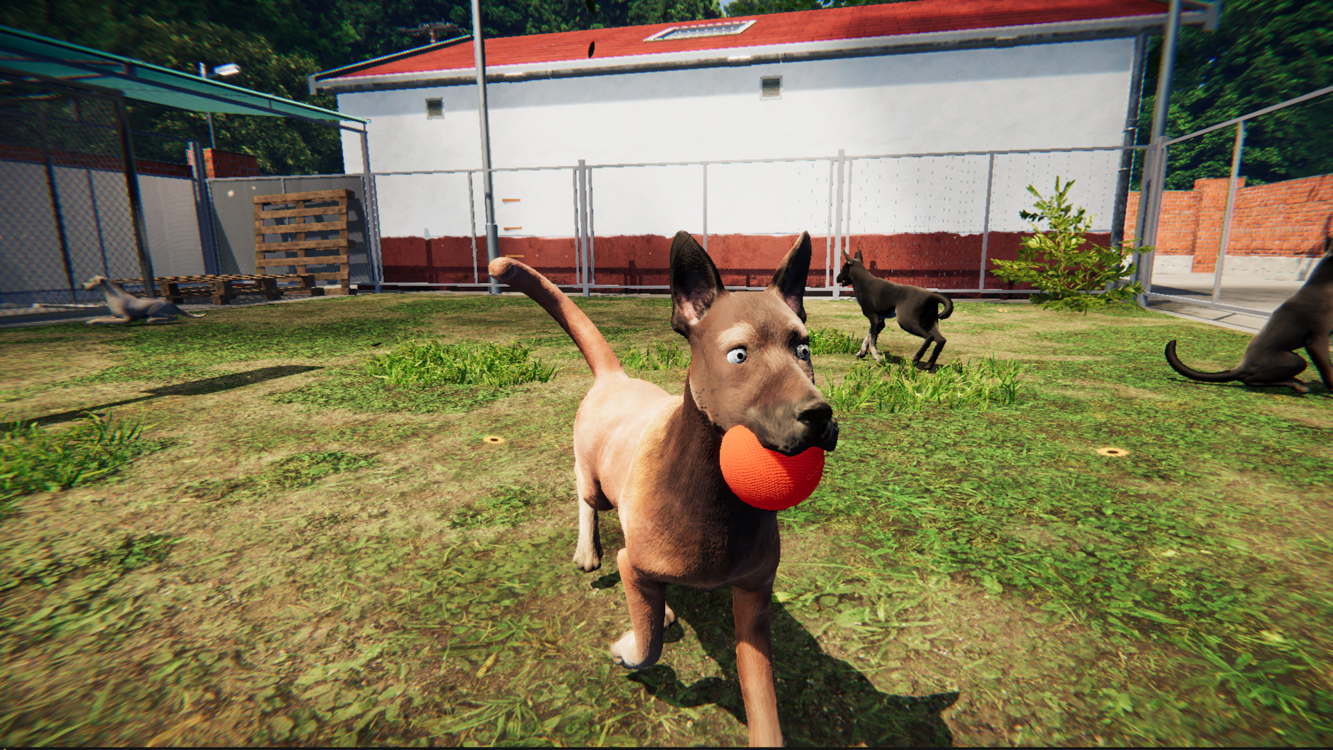 Animal Shelter: Prologue on Steam Animal Shelter: Prologue on Steam