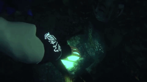 可骇新做《真夜中》Steam版7月22日出售 性感妹探险