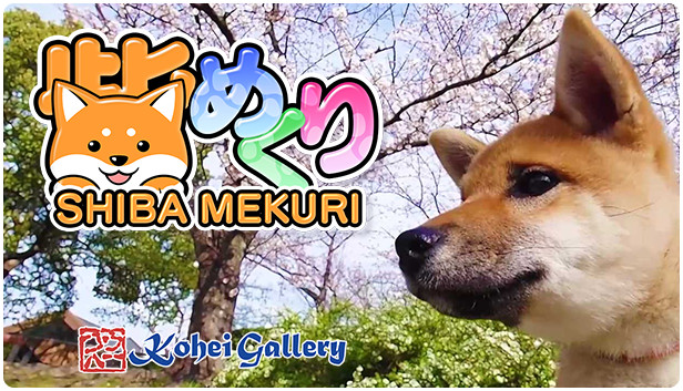 Shiba Mekuri 柴めくり Steam capsule image