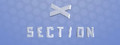 XSection