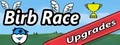Birb Race