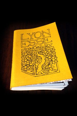 Lyonesse cover art
