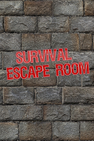 Survival Escape Room cover art
