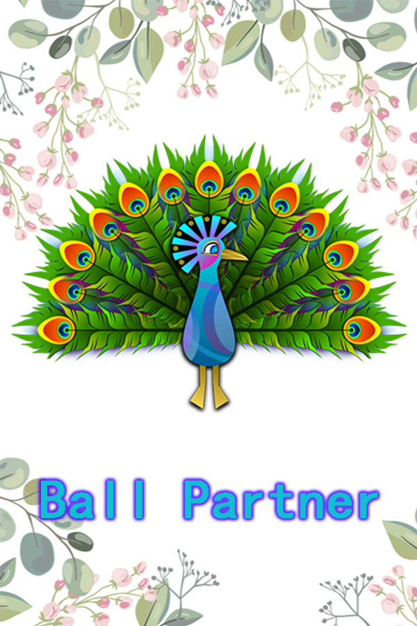Ball Partner