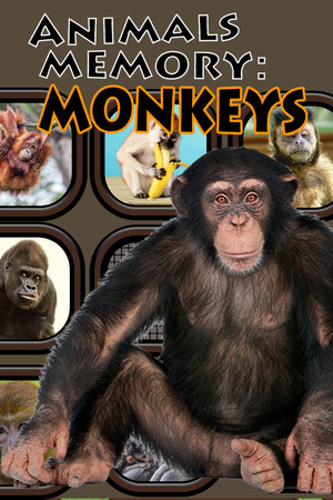 Animals Memory: Monkeys cover art