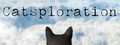 Catsploration