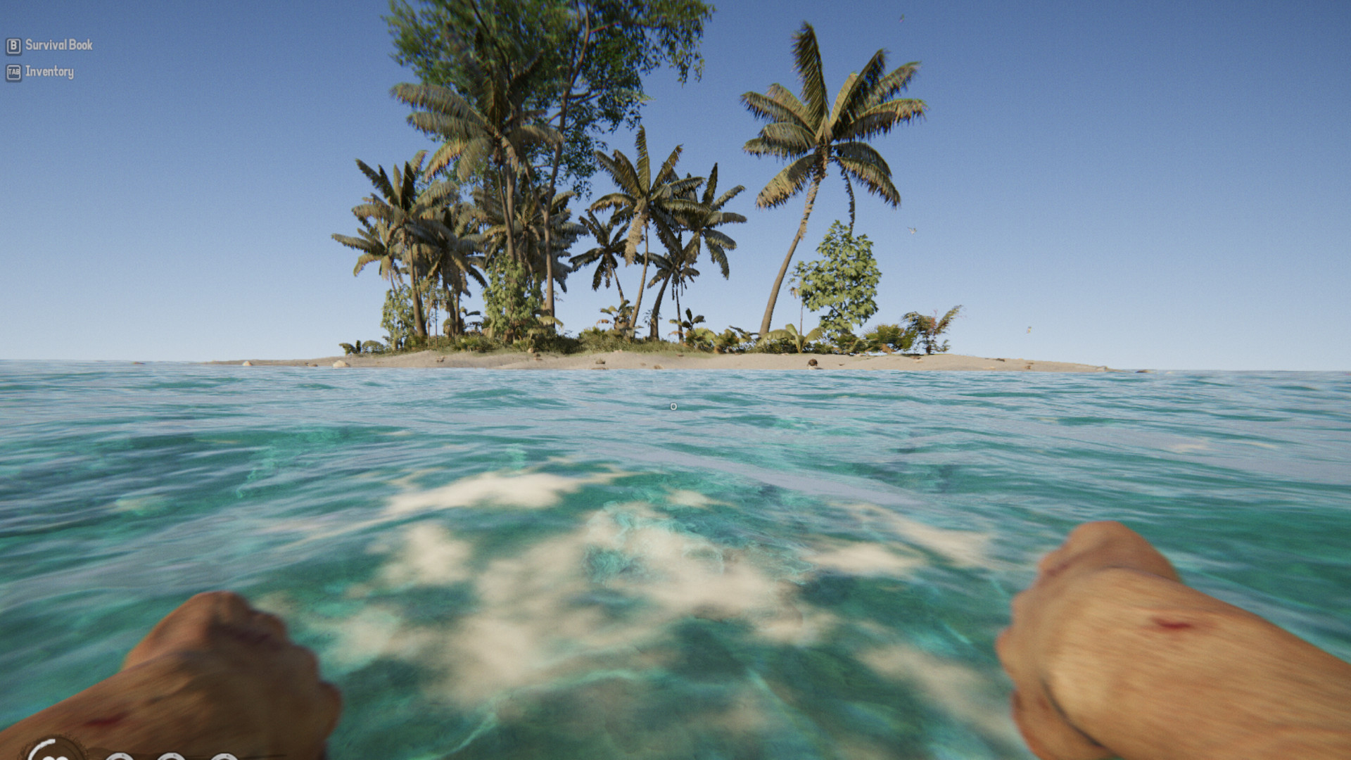 Project Castaway on Steam