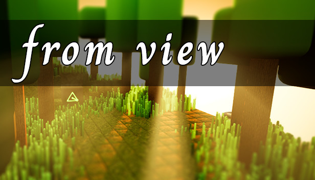 from view Steam capsule image