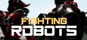 Fighting Robots