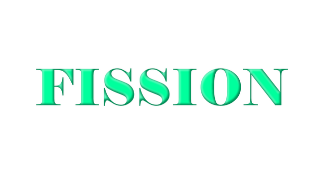 Fission