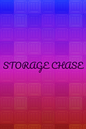 Storage Chase cover art