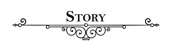 story.png?t=1711753038