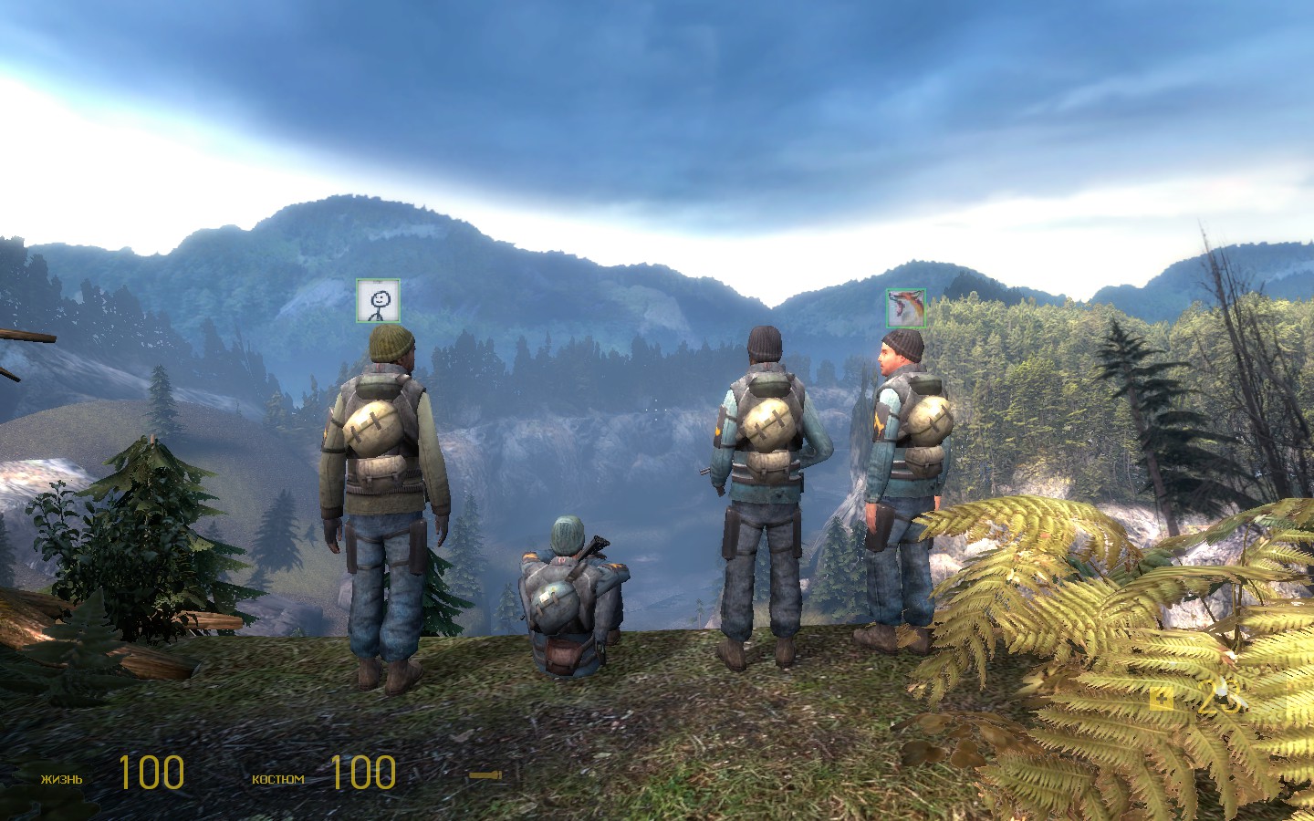 half life 2 synergy no steam half life 2 synergy no steam