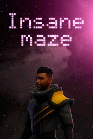 Insane maze cover art