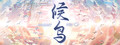 候鸟