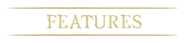 HEADER_Features_600x140.png?t=1707415237