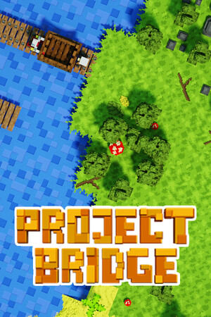 Project Bridge cover art