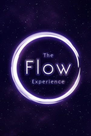The Flow Experience cover art