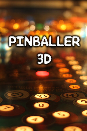 Pinballer (3D Pinball) cover art