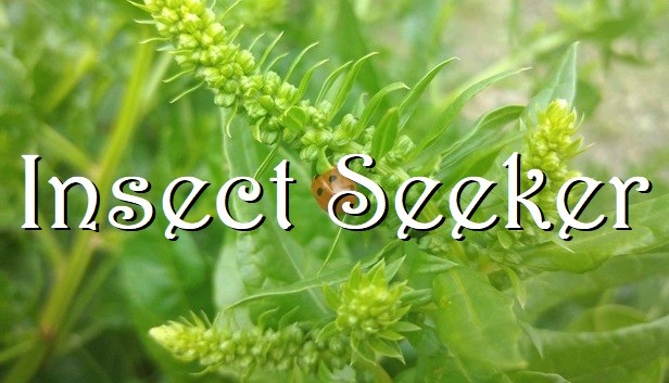 Insect Seeker Steam capsule image