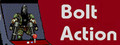 Bolt Action