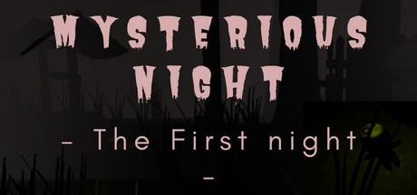 Mysterious Night (The First Night) Cover Image