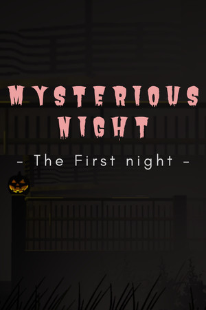 Mysterious Night (The First Night) cover art