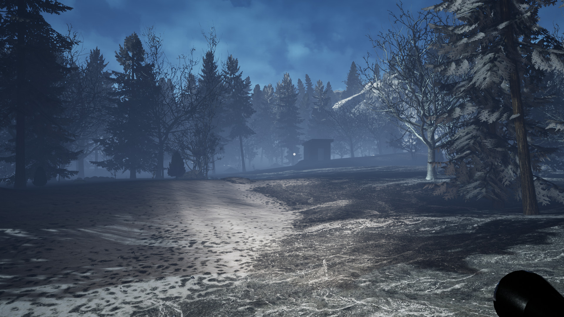 First Light on Steam