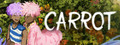 CARROT