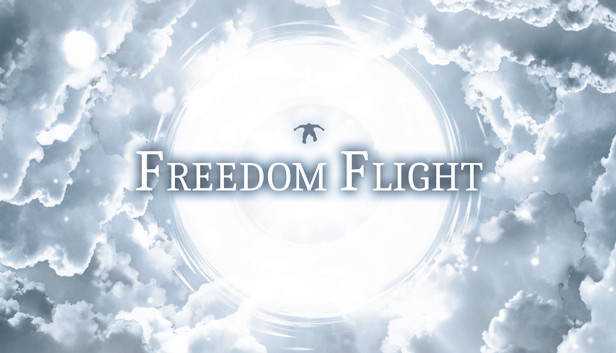 Freedom Flight Steam capsule image