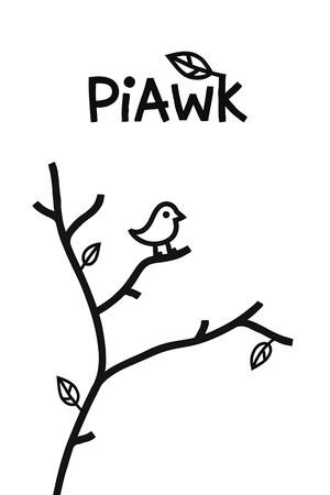 PiAwk cover art