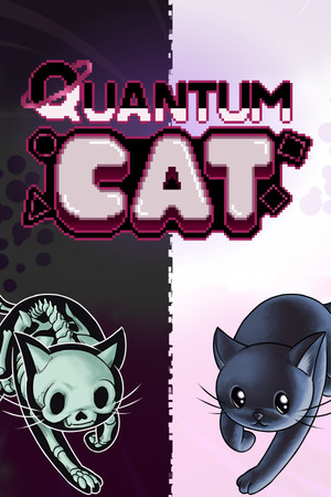 The Quantum Cat cover art