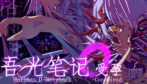 吾光笔记0受孕 Steam capsule image