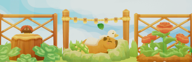 Capybara Spa
