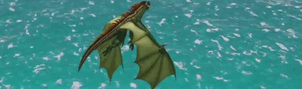 PRESENTATION - Pirate Dragons 3 SkelSkullNew | RPG Jeuxvidéo