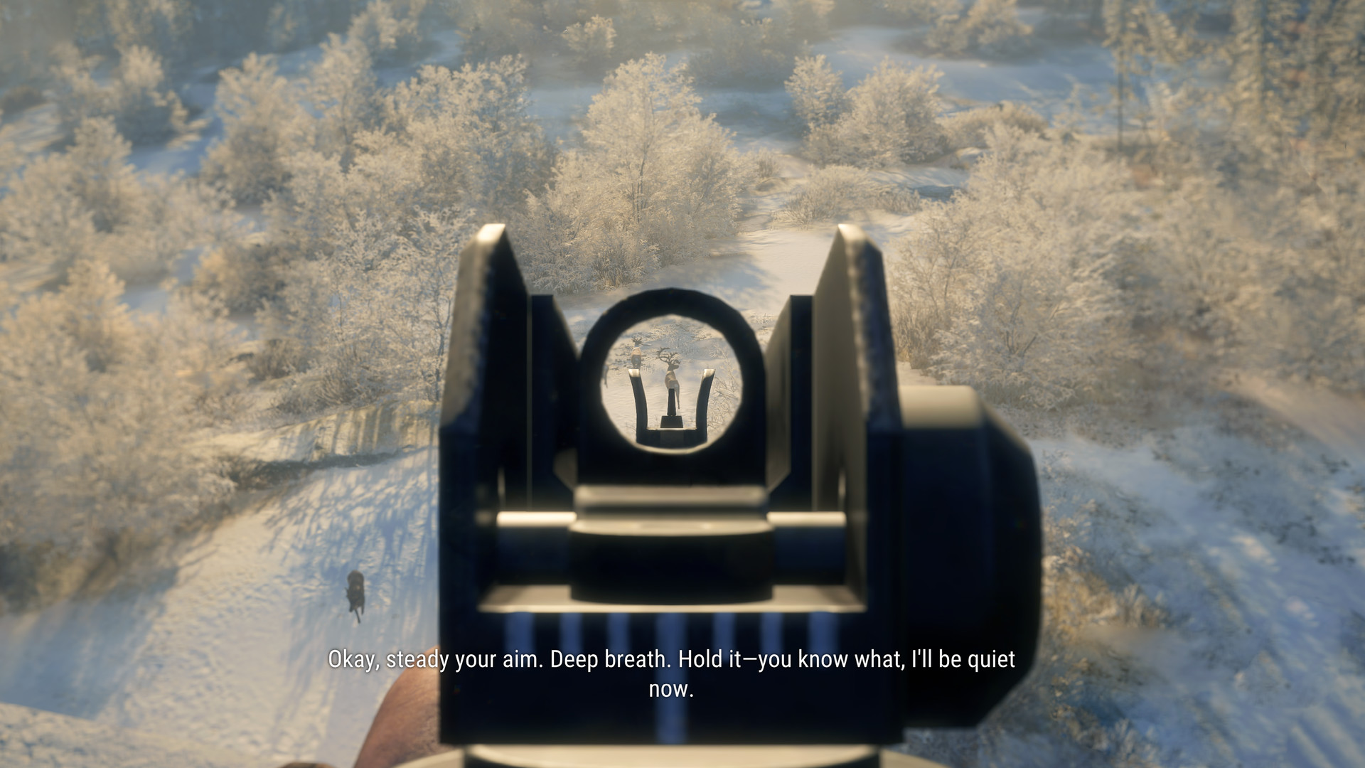 theHunter Call of the Wild™ Modern Rifle Pack on Steam