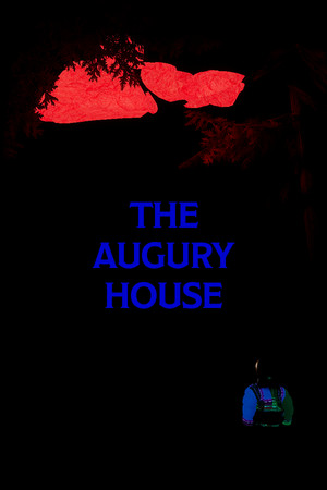 The Augury House cover art