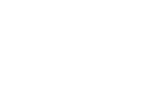 VEIN Logo