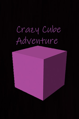 Crazy Cube Adventure cover