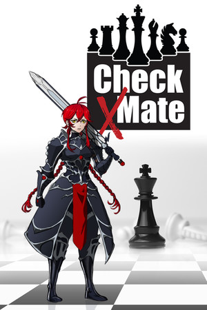 Check x Mate Demo