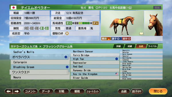 Wp9 22 最強古馬 購入権セット 全２頭 On Steam