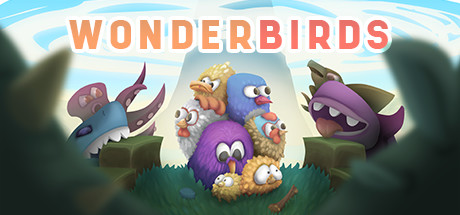 Wonderbirds header