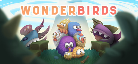 Wonderbirds Cover Image