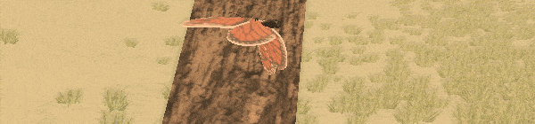 蝶梦/A Butterflys Dream